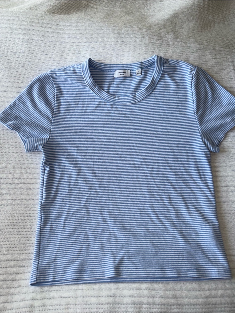 Aritzia/Sunday Best - Besthug™️ Little Ribbed Tee - Light Blue Stripe